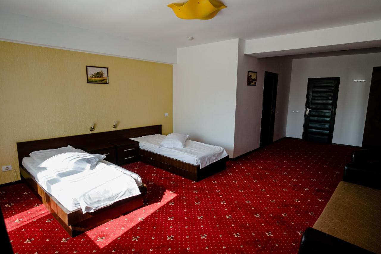 Pensiunea Vialux Bacău Extérieur photo